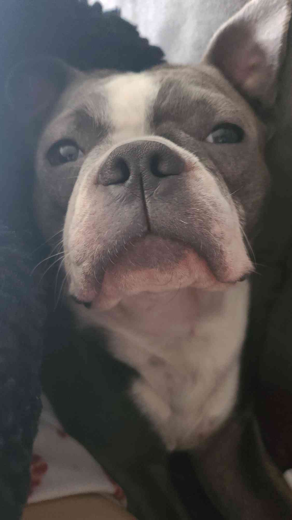 Kaylee-Jade Giroux portrait